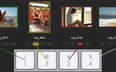 DF Studio Updates: November 2014 – Keyboard Controls, Type-Ahead Functionality, And More Metadata Tools